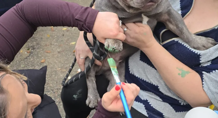 Dog having paw print done