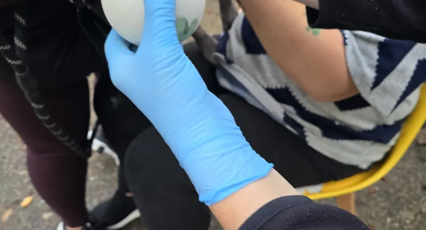 Dog having paw print done